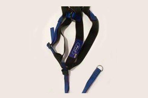 Discover Ford Bronco Accessories in PR - Pet Harness By Covercraft - Small, 1